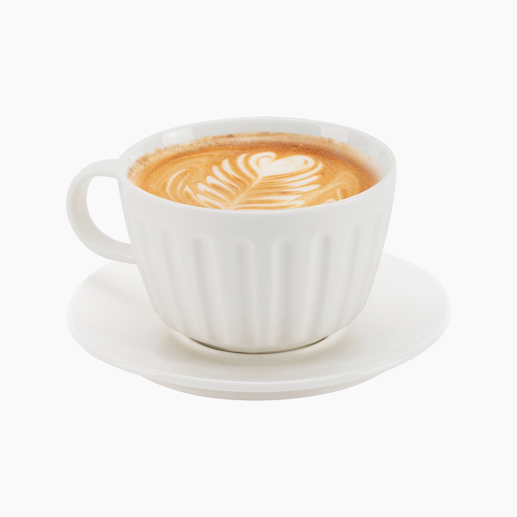 Dualit Cups — HighQuality Bone China for Every Coffee Lover