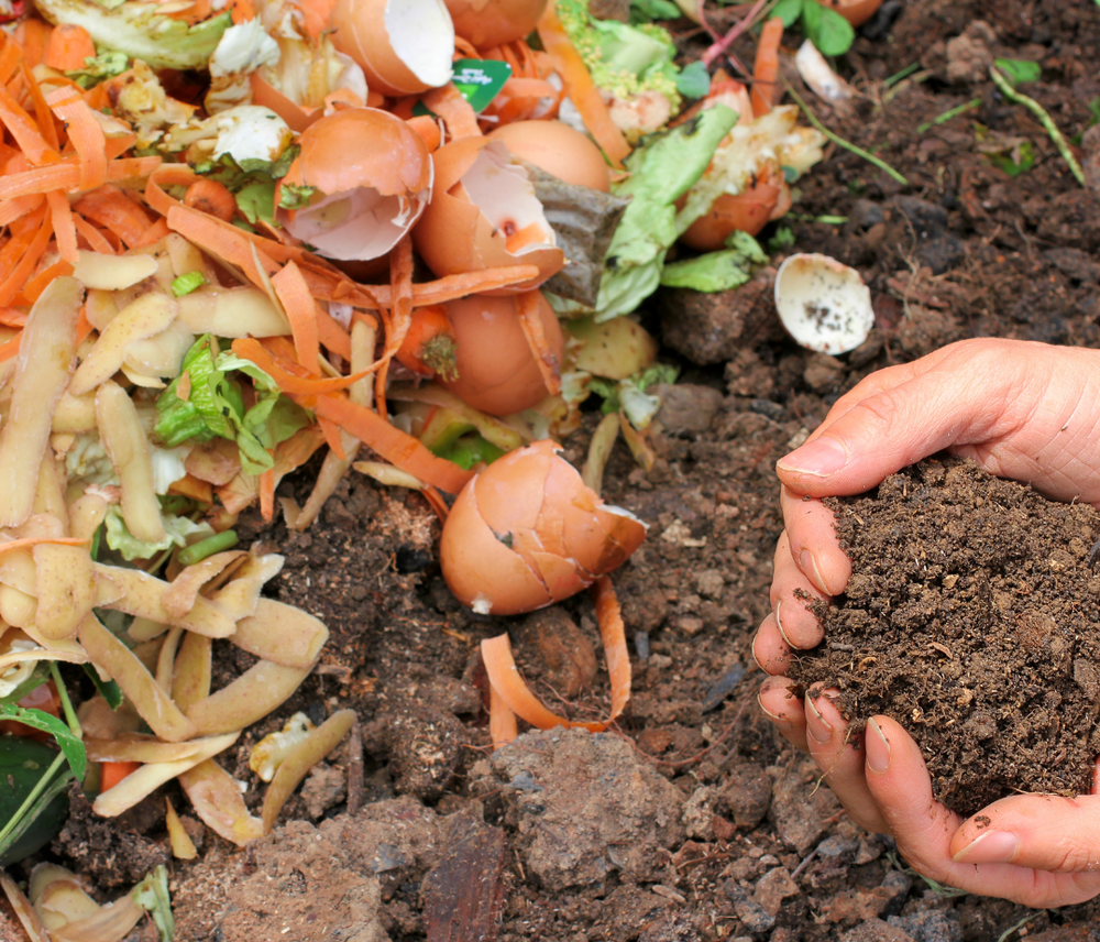 Dualit's Top Tips for Fighting Food Waste