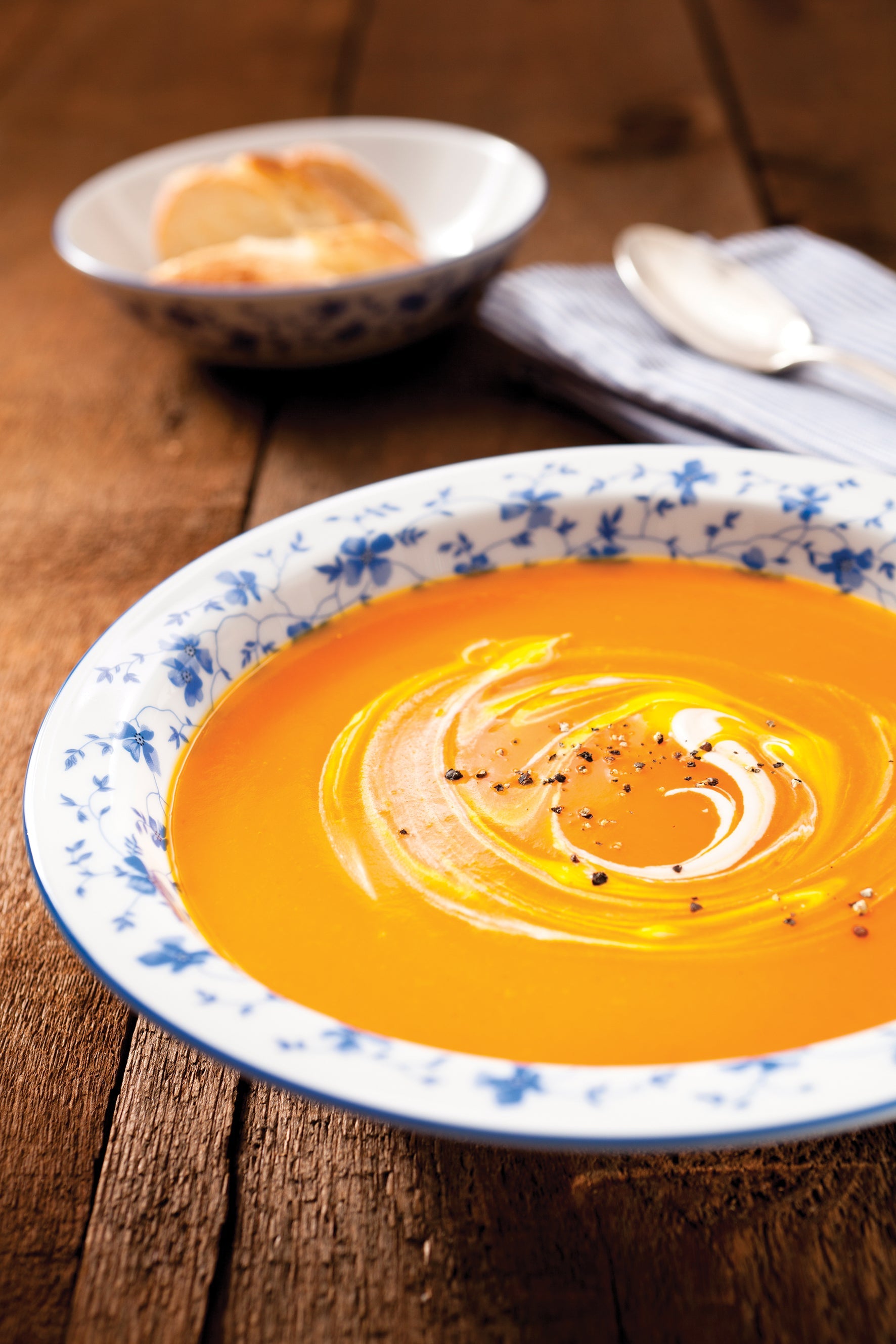 Winter Garden Vegetable Soup