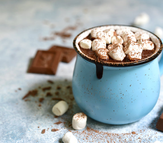 Hot Chocolate Mug Cake